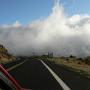 Maui - Mødet med skyerne på vej til vulkanen i Haleakala National Park 